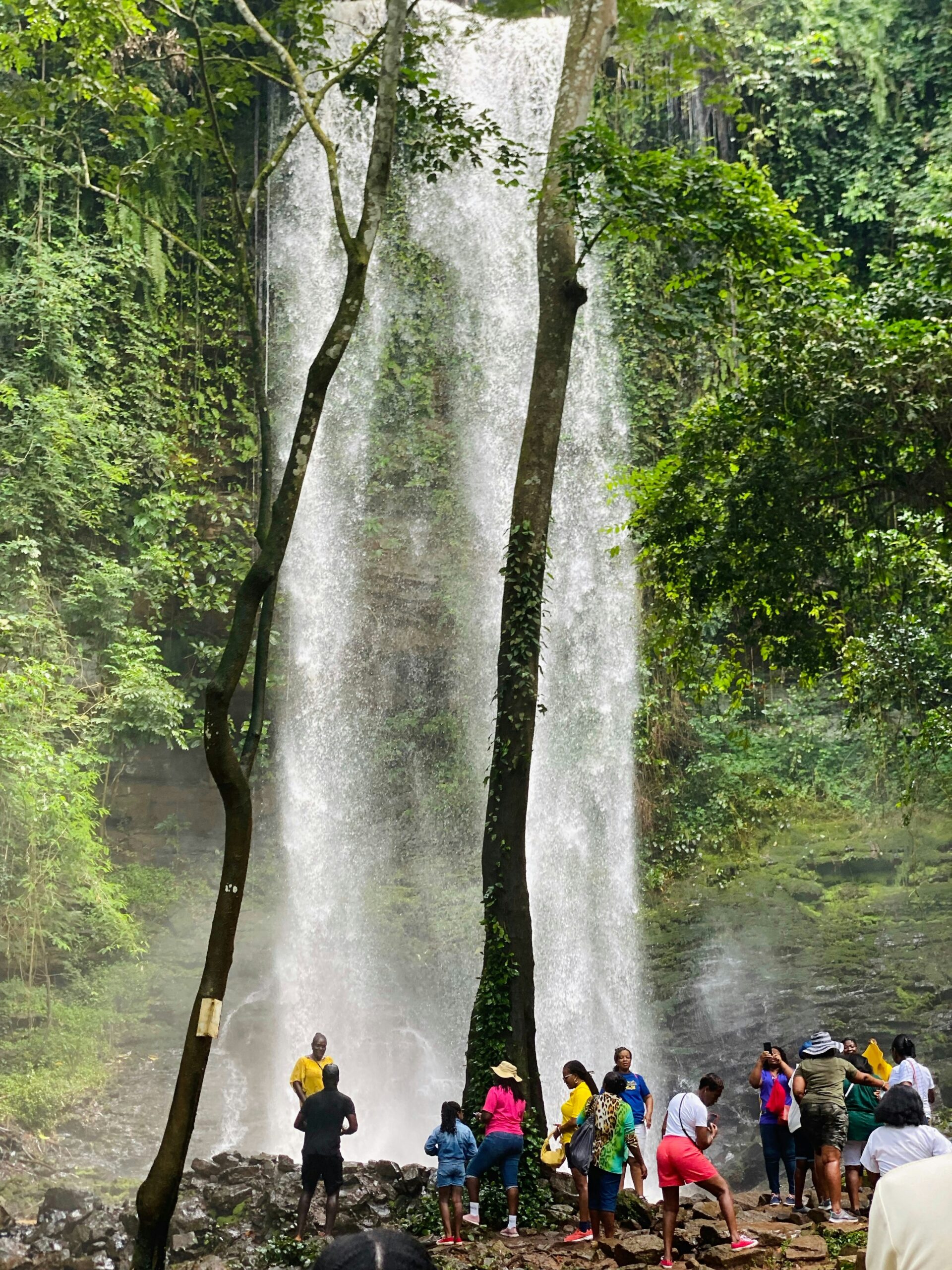 Home kathryn addobea 3cmxbkfkmba unsplash